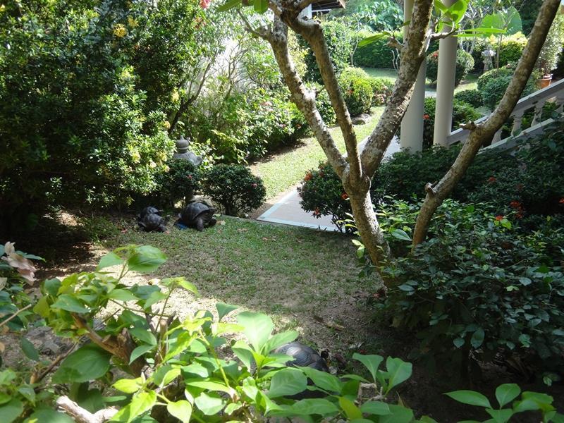 Holiday Village And Natural Garden Resort Phuket Exterior foto